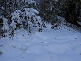 Motoalpinismo con neve in Valsassina - 005